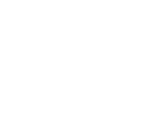 Dark Logo